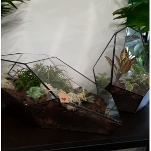 Las w słoiku Ogrody Babilonu