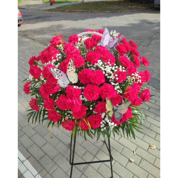 Kosz goździków Dalas