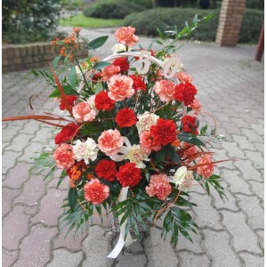 Kosz goździków Dalas