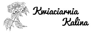 Kwiaciarnia Kalina Koszalin - poczta kwiatowa - kwiaty z dostawą